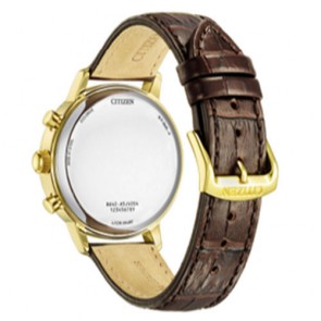 Montre Citizen Of Collection CA7062-15A