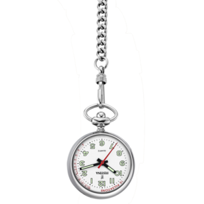 Uhr Festina Bolsillo F2034/1